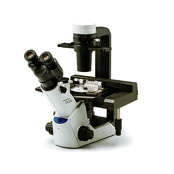 OLYMPUS奧林巴斯CKX53生物顯微鏡Biological Microscope